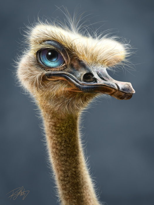 Ostrich Totem - LaMontagne Art
