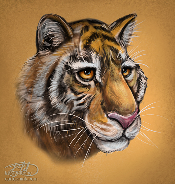 TigerSketch