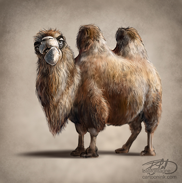 BactrianCamel