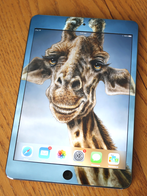 GiraffeiPad