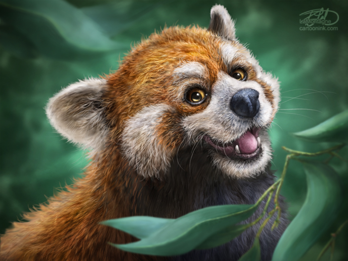 Red Panda Totem - LaMontagne Art