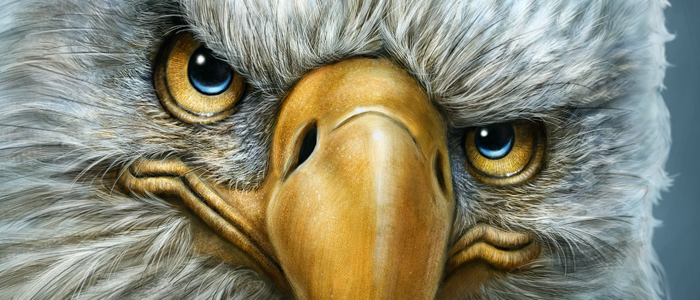 eaglecrop