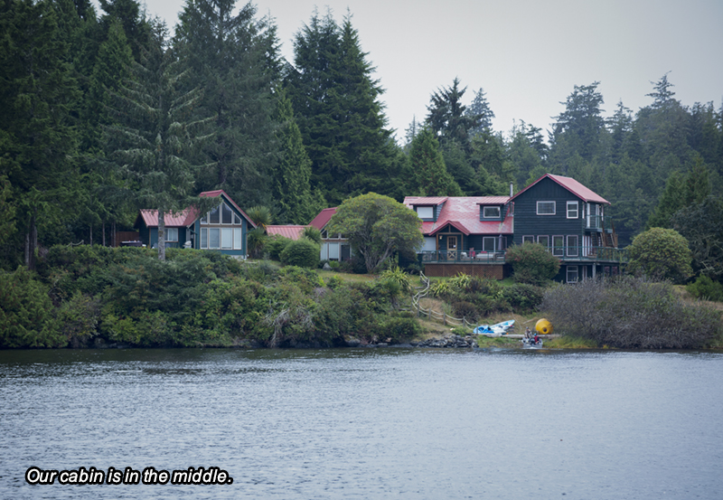 Ucluelet Tide Chart