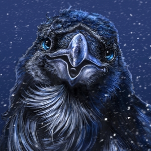 Winter Raven