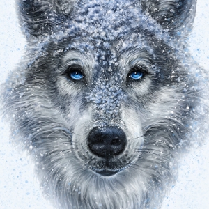 Winter Wolf