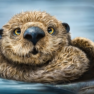 Otter