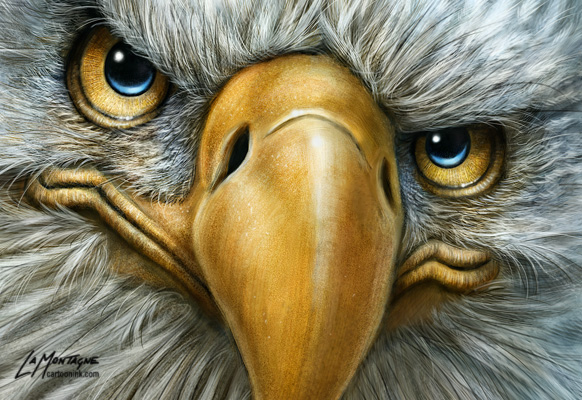 Eagle Face Art Prints for Sale  Redbubble