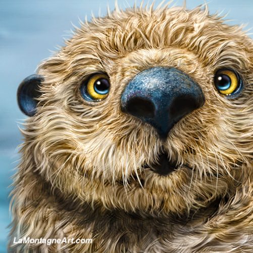 Otter - Image 3