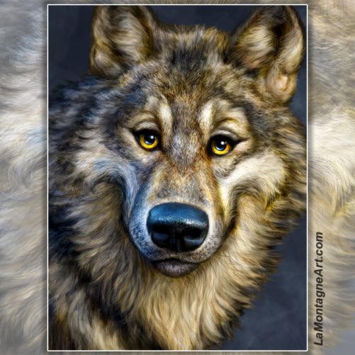 Wolf