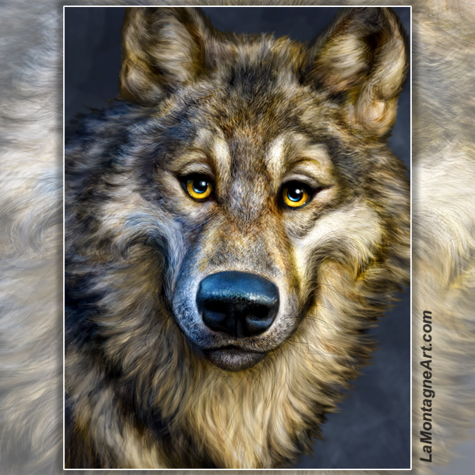 Wolf