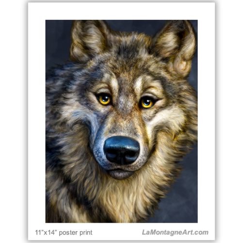 Wolf - Image 2