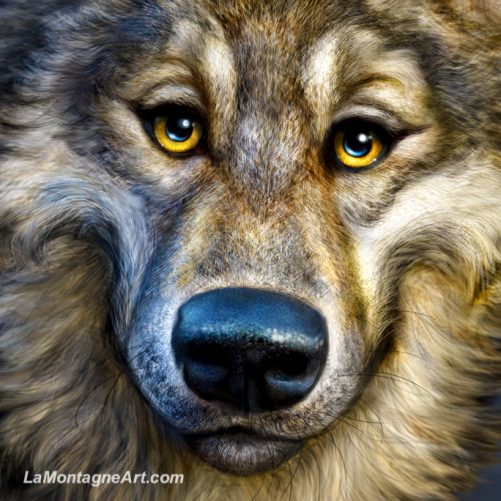 Wolf - Image 3