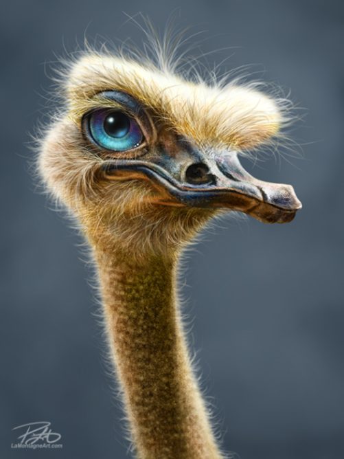 Ostrich