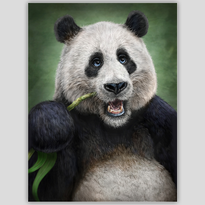 Panda