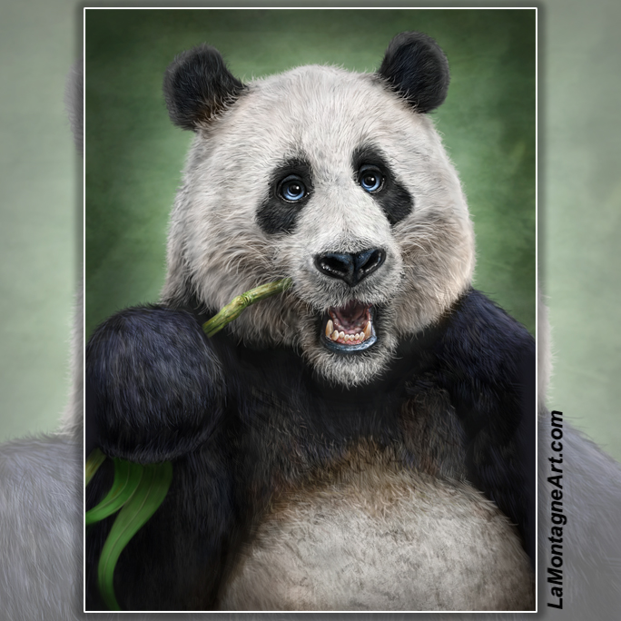 Panda