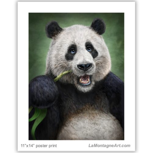 Panda - Image 2