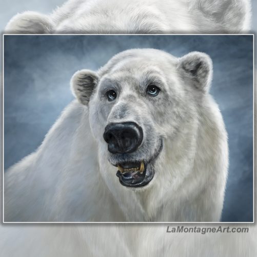 Polar Bear