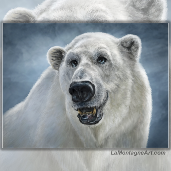 Polar Bear