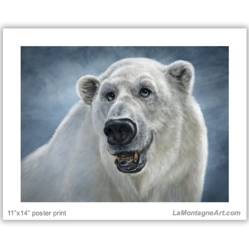 Polar Bear - Image 2