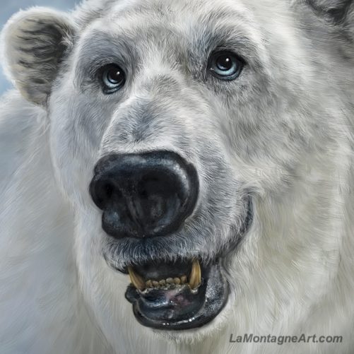 Polar Bear - Image 3