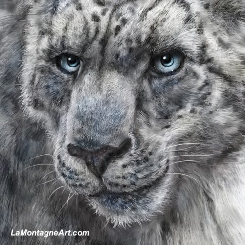 Snow Leopard - Image 3