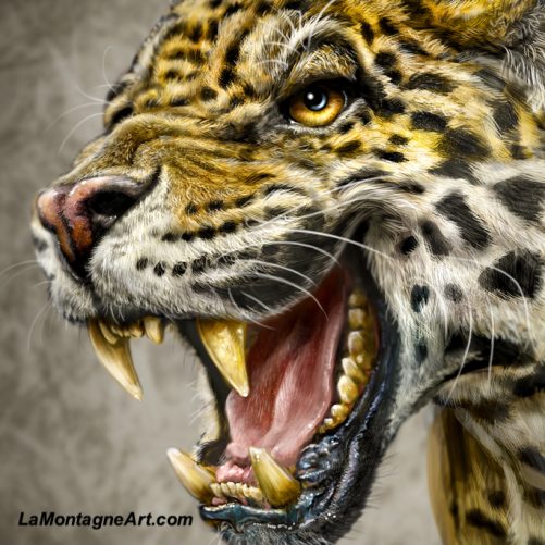 Jaguar - Image 3