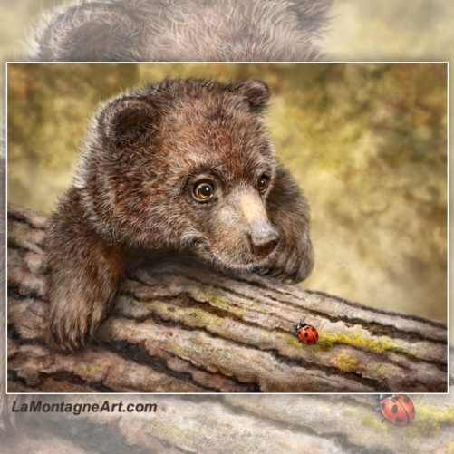 Kodiak Cub