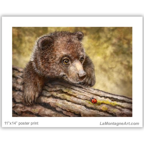 Kodiak Cub - Image 2