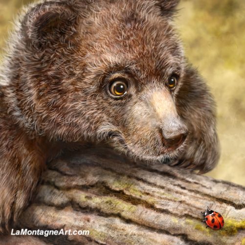 Kodiak Cub - Image 3