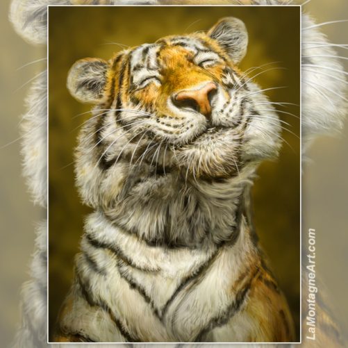 Smiling Tiger