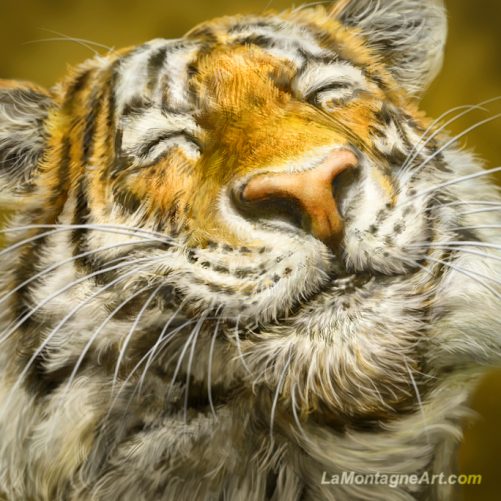 Smiling Tiger - Image 3