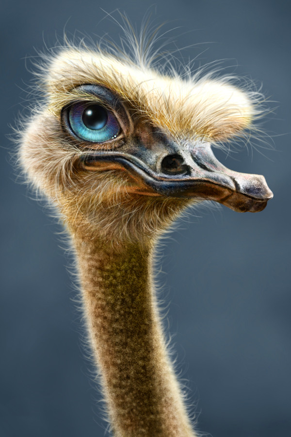 Creature