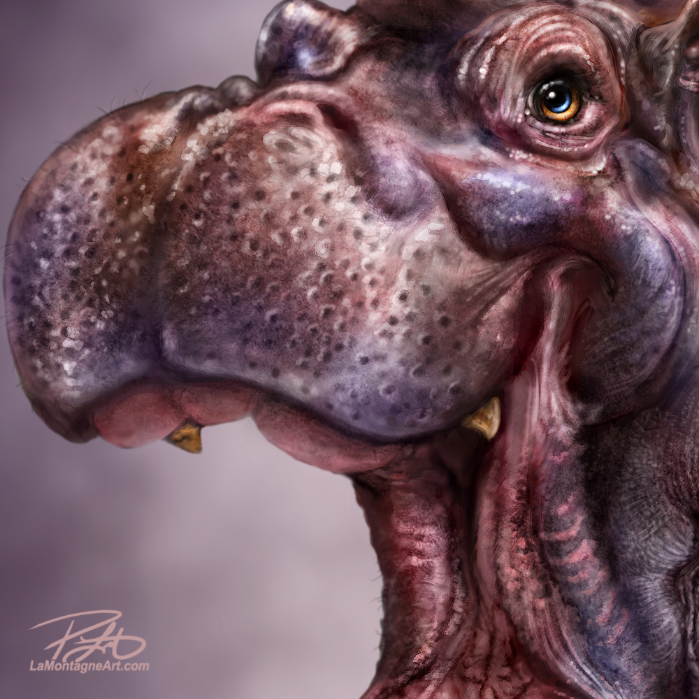 Hippo - LaMontagne Art