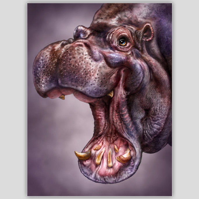 Hippo