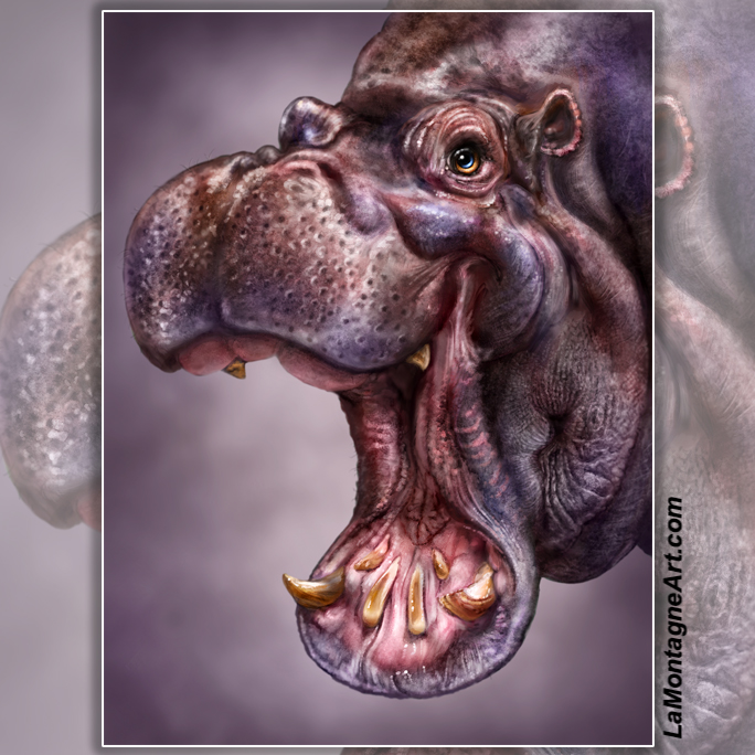 Hippo