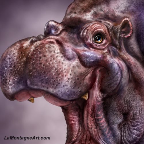Hippo - Image 3