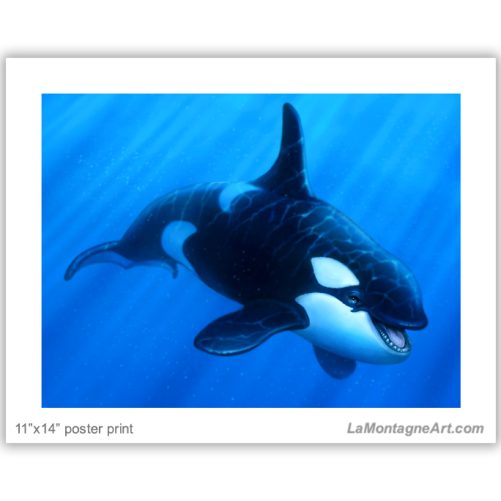 Orca - Image 2