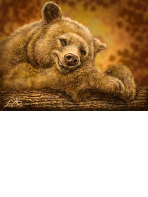 Sleepy Bear