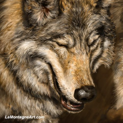 Two Wolves - Image 3