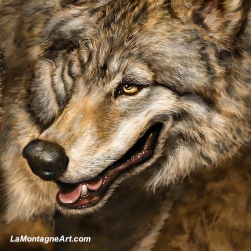 Two Wolves - Image 4