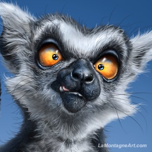 Ring-tailed Lemur - Image 3