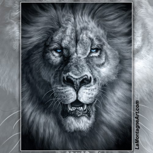 Sire