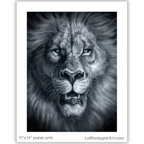 Sire - Image 2