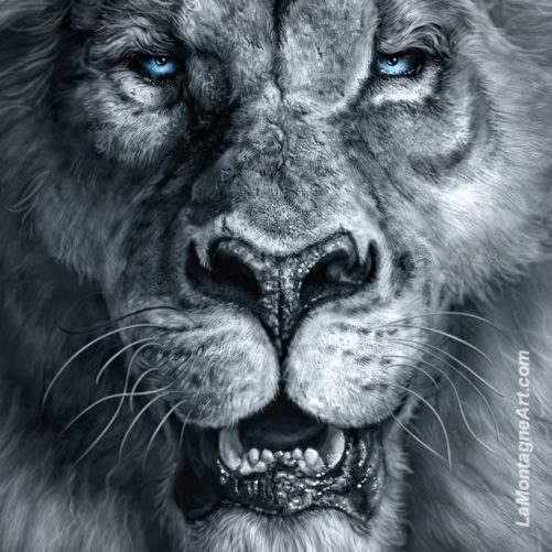 Sire - Image 3
