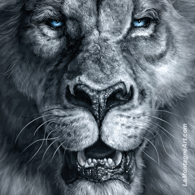 Sire - Image 4