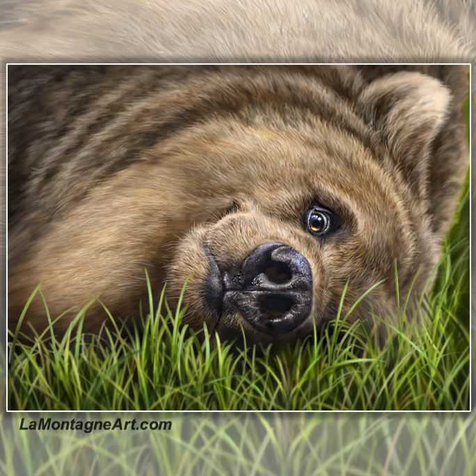 Grizzly on Grass