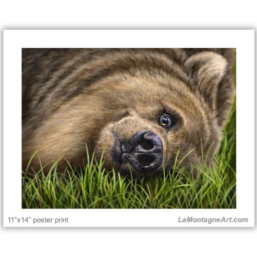 Grizzly on Grass - Image 3