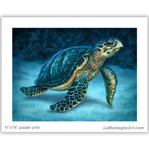 Sea Turtle - Image 2