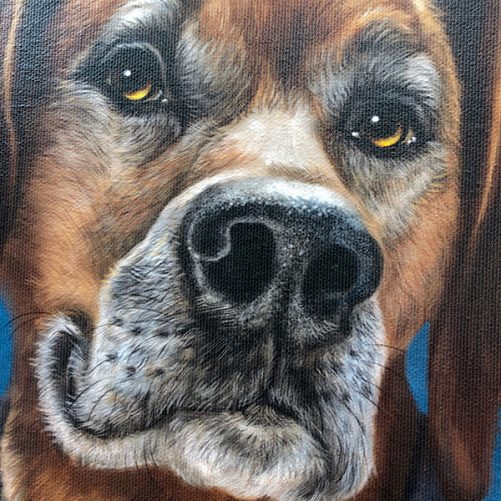 Collars and Colours on Canvas LaMontagne Art