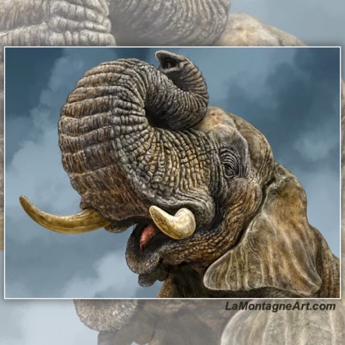 African Elephant